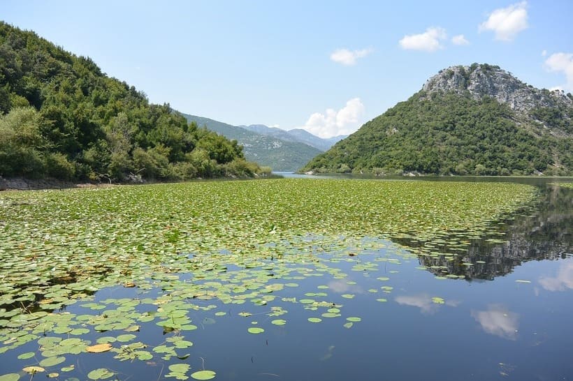 Lake-Shkodër-dmc-travel